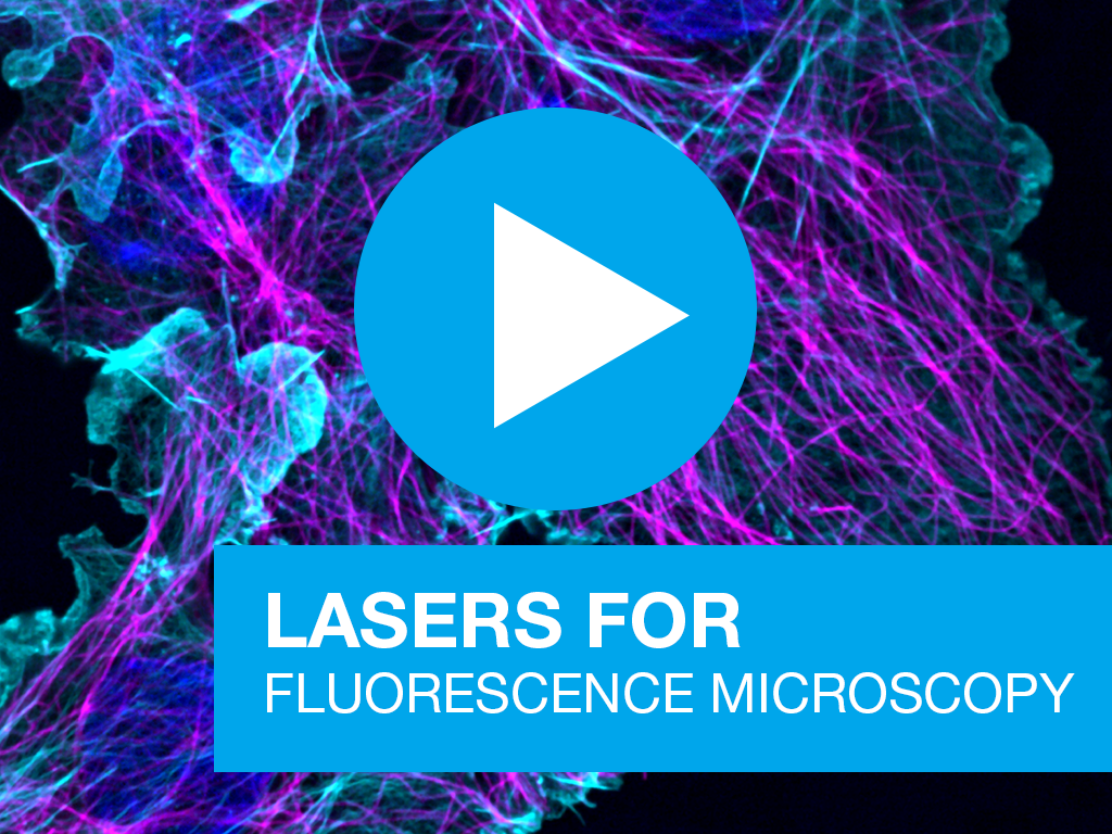 Lasers for fluorescence microscopy